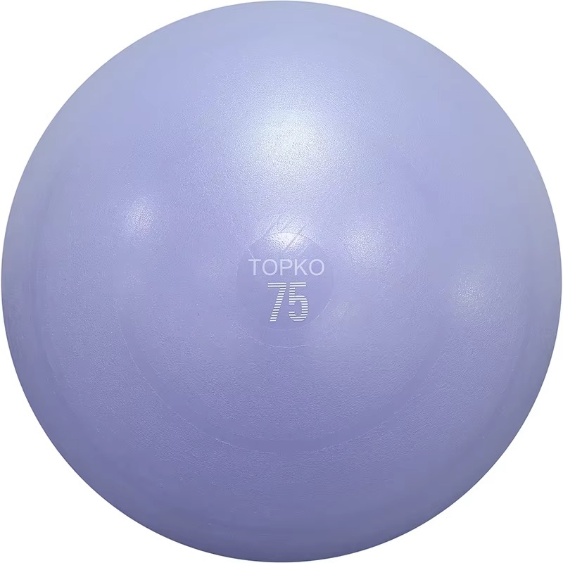 YTYIN TOPKO Yoga Ball Exercise - đánh giá và giá Exercise Ball Stability