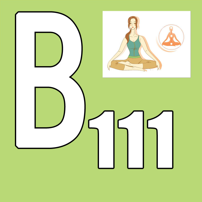Hot Sale Latest Release 2026.Q - đánh giá và giá Yoga Fitness Course